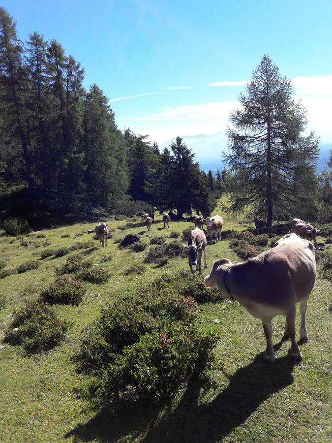 Berghotel Schlickeralm 1.616 M 플메스 외부 사진